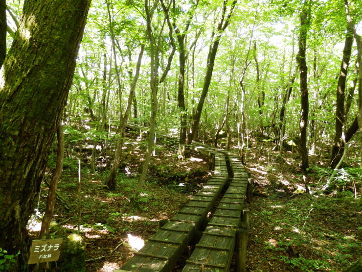 f0219710_13214702.jpg