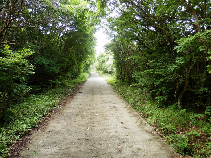 f0219710_13240059.jpg