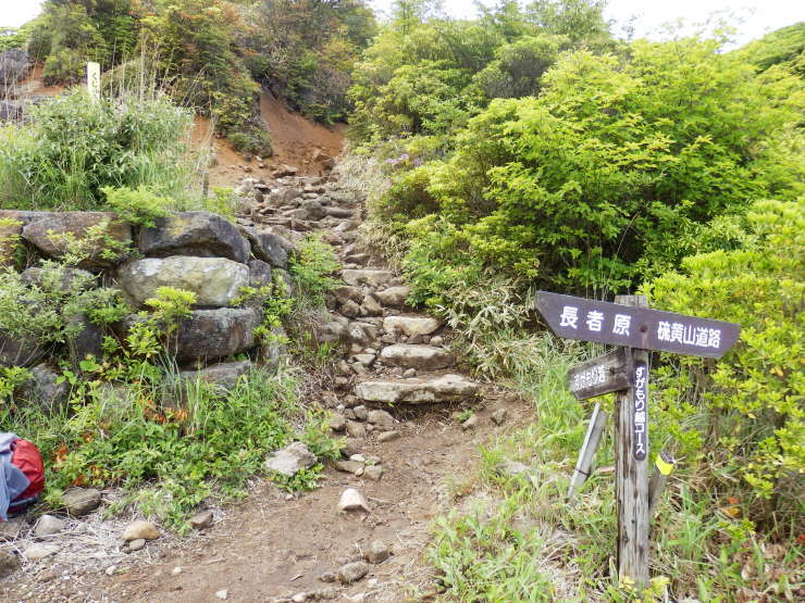 f0219710_13254205.jpg