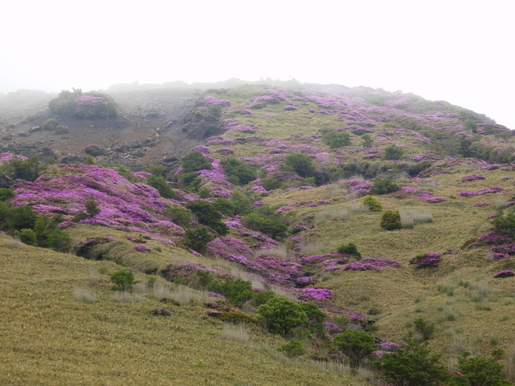 f0219710_13291641.jpg