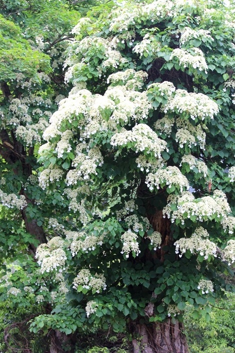 d0361112_21502551.jpg