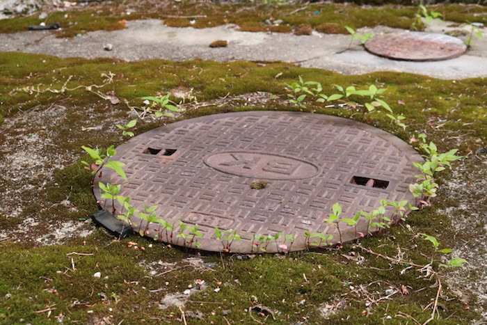 f0044029_22014500.jpg