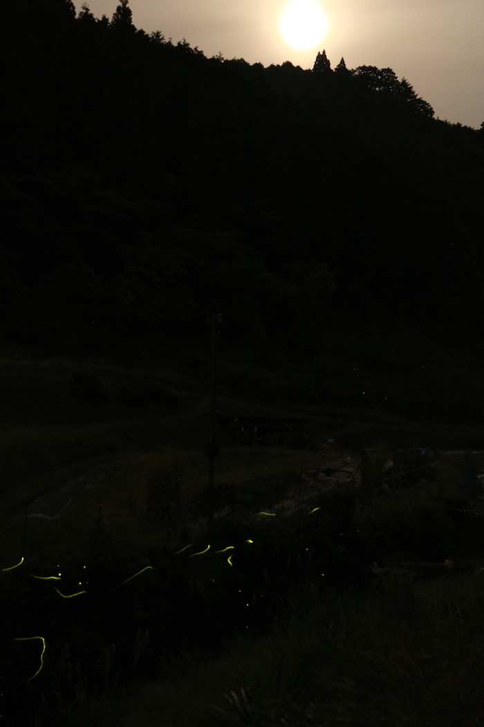 f0044029_22014544.jpg