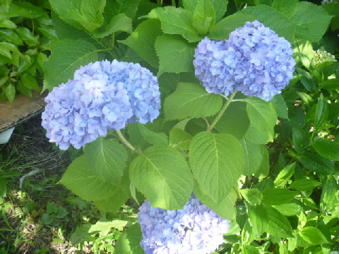 b0246036_05025269.jpg