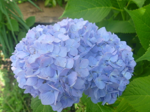 b0246036_05075212.jpg