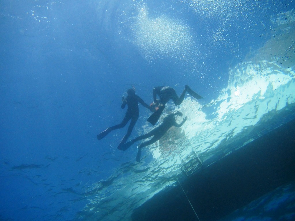 a0189838_06235799.jpg