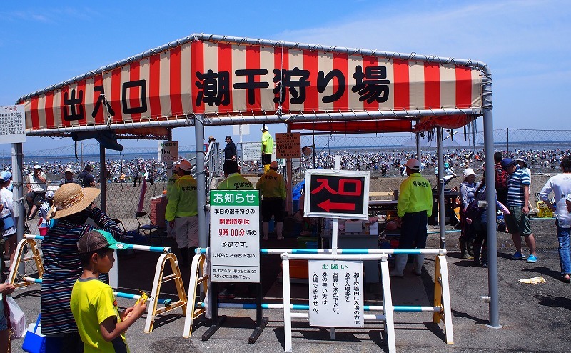南房総で食い倒れればいいじゃない!今食べたい初夏のグルメ8選 #南房総たのしー_b0141240_16542038.jpg