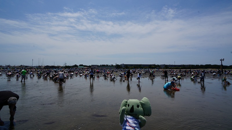南房総で食い倒れればいいじゃない!今食べたい初夏のグルメ8選 #南房総たのしー_b0141240_16544933.jpg