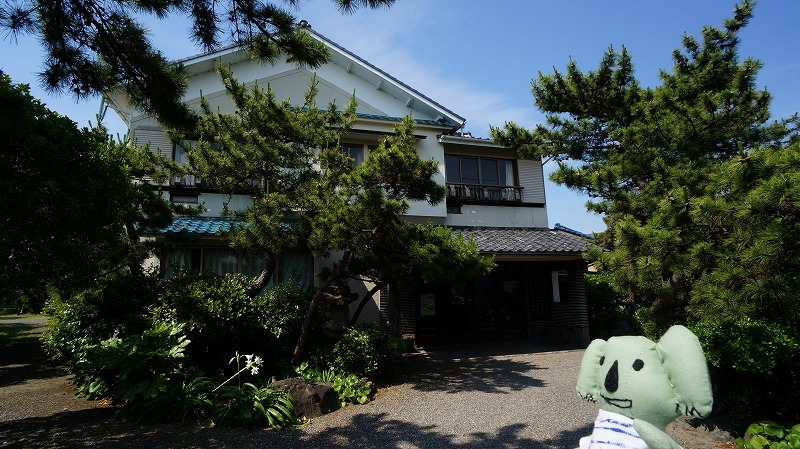 南房総で食い倒れればいいじゃない!今食べたい初夏のグルメ8選 #南房総たのしー_b0141240_16575336.jpg