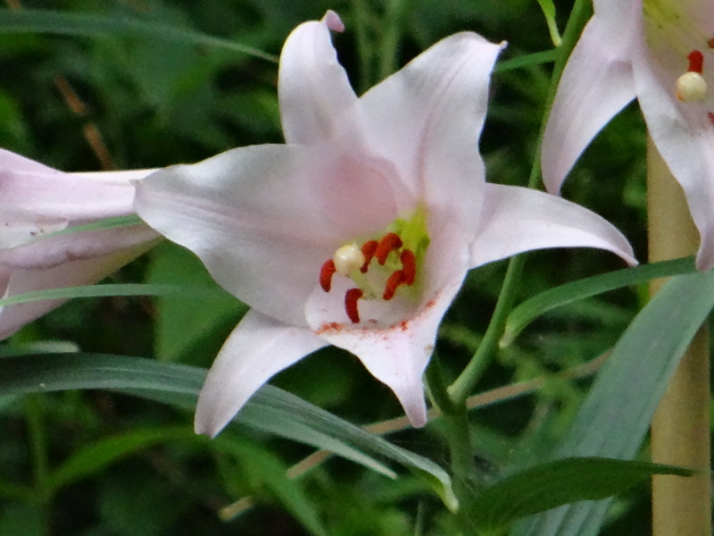 c0108460_23341002.jpg
