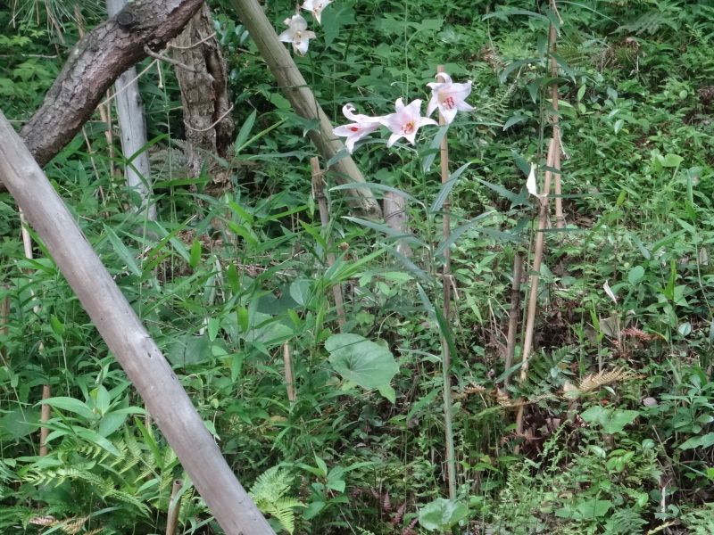 c0108460_23341228.jpg