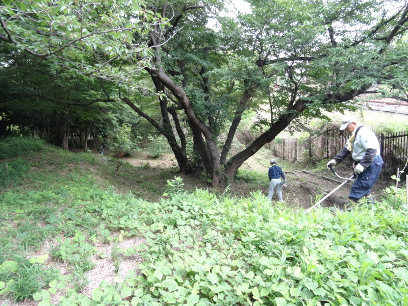 草刈りすればマムシに当たる・・・うみべの森を育てる会定例活動日・・・せんなん里海公園内うみべの森_c0108460_23442964.jpg