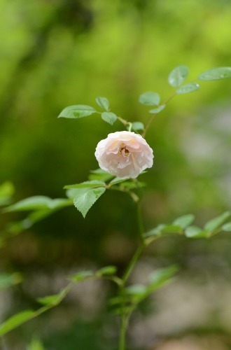 c0186463_23092211.jpg
