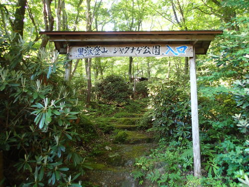 f0223480_16480673.jpg