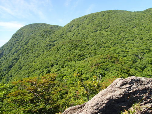 f0223480_16582485.jpg
