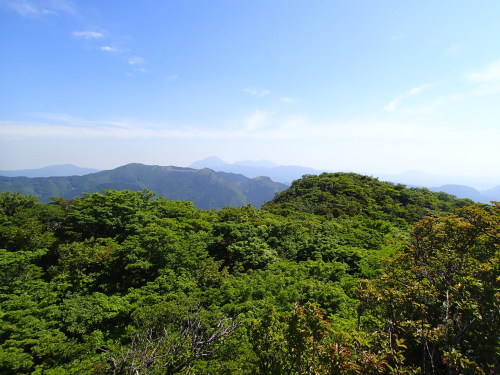 f0223480_16585033.jpg
