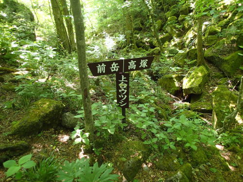 f0223480_17004492.jpg