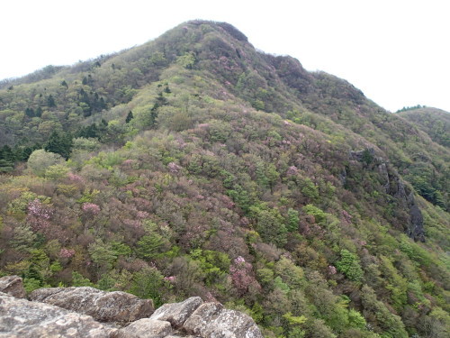 f0223480_18044356.jpg