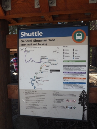 お一人様旅行その4再びGeneral Sherman Tree@Sequoia National Park_e0183383_17221311.jpg