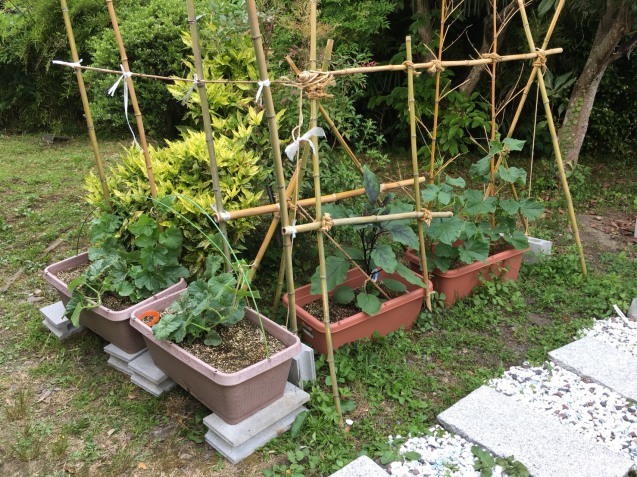 f0379286_20100494.jpeg
