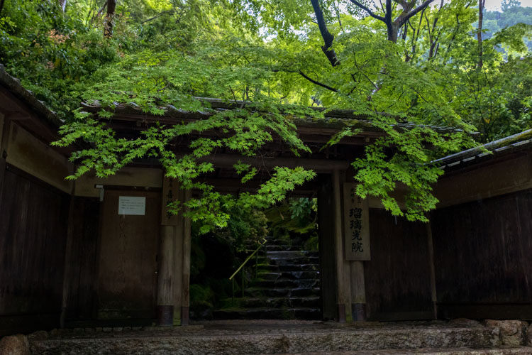 瑠璃光院_e0051888_21341836.jpg