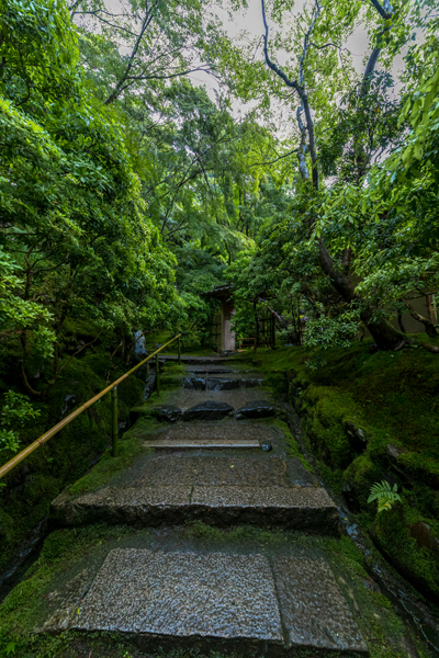瑠璃光院_e0051888_21344573.jpg