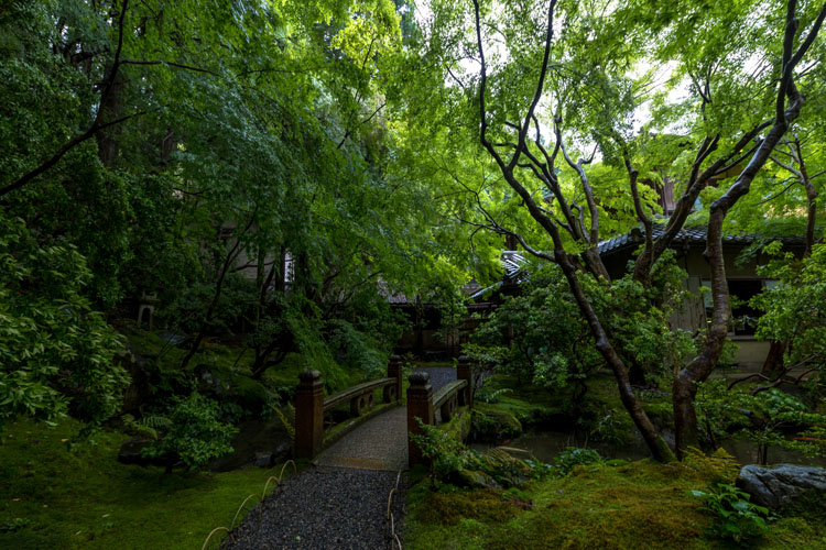 瑠璃光院_e0051888_21345562.jpg