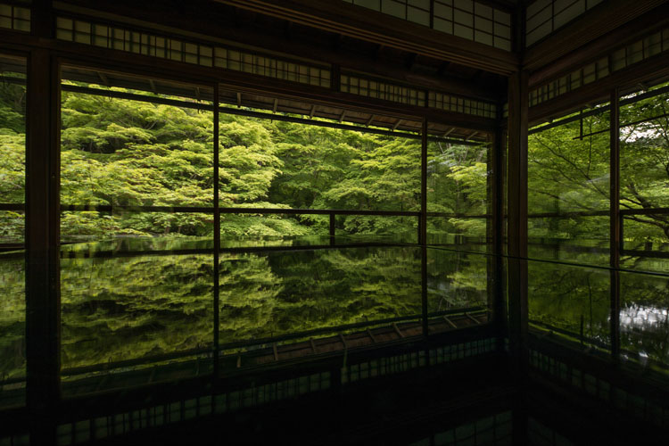 瑠璃光院_e0051888_21352326.jpg