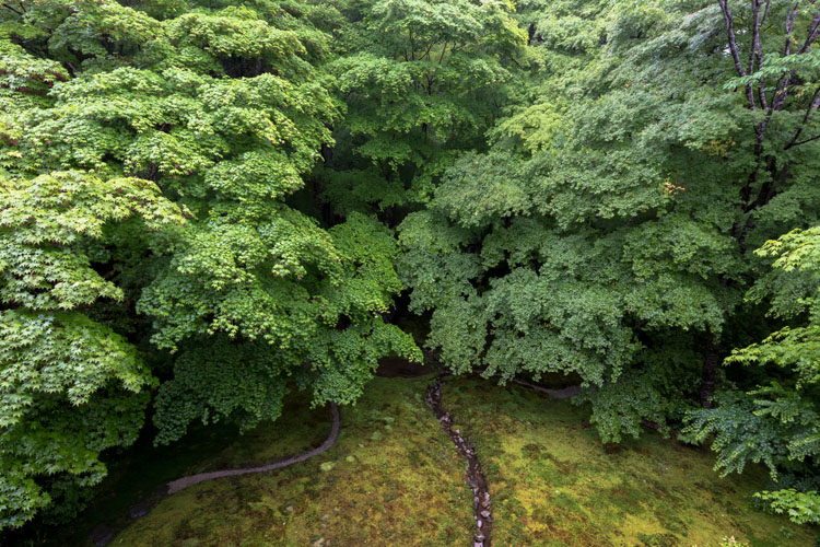 瑠璃光院_e0051888_21354186.jpg