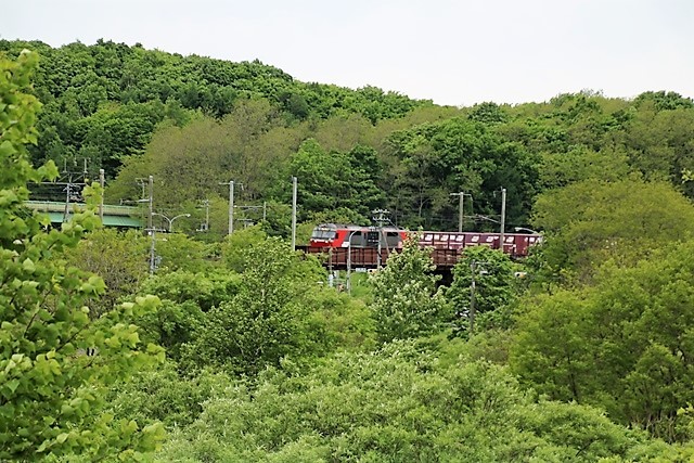 d0181492_08213539.jpg