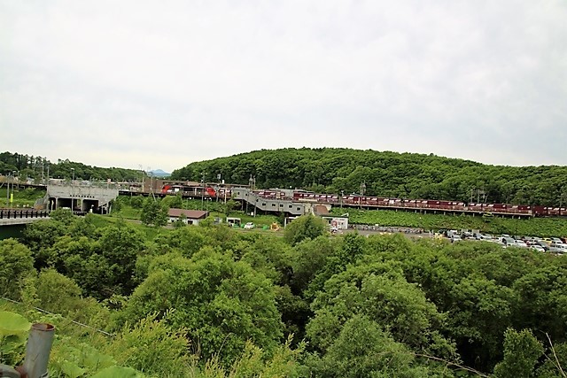 d0181492_08223067.jpg