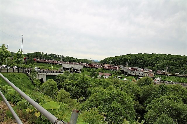 d0181492_08225590.jpg