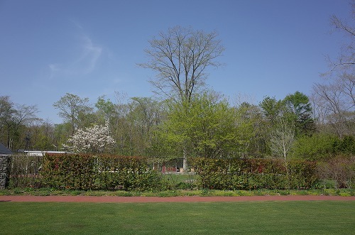 b0119493_21103514.jpg