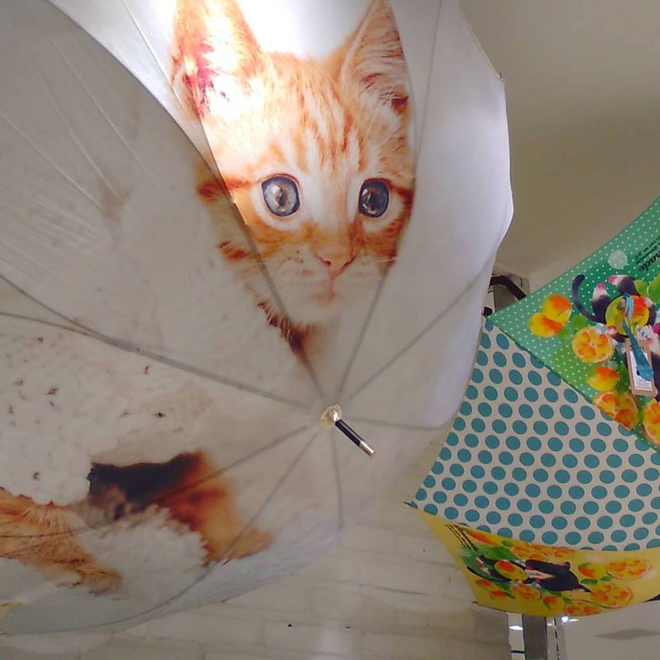 パンダと猫の雑貨展最終日です!作品たっぷりご紹介_d0322493_1215413.jpg