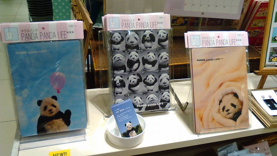 パンダと猫の雑貨展最終日です!作品たっぷりご紹介_d0322493_1232582.jpg