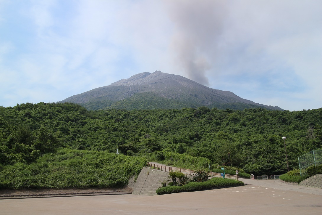 火山灰の降る街で　　　　≪　　　南国の花々　　　≫_a0140000_01090912.jpg