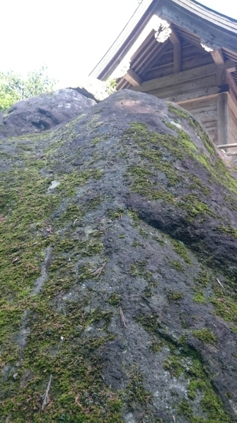 d0362800_13515657.jpg