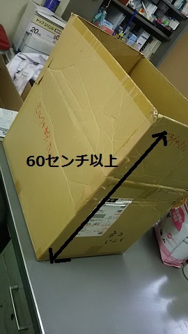 【移動先募集】センター(支所)収容の子猫・成猫(6/10訪問)_f0242002_23261709.jpg