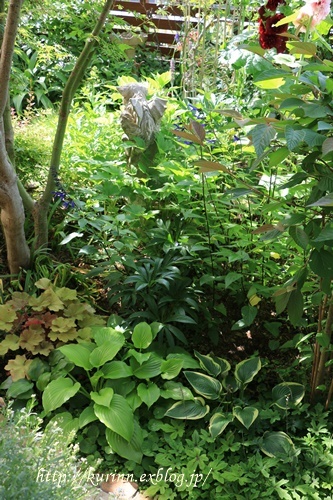 a0123003_09285516.jpg