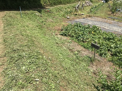 e0270403_16212876.jpg