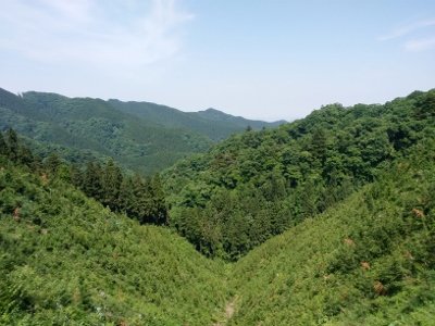 b0040606_2043627.jpg