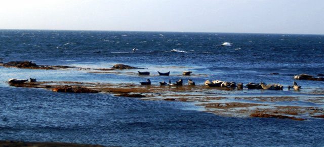 a0345007_16554911.jpg