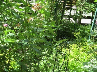 f0325309_16200049.jpg