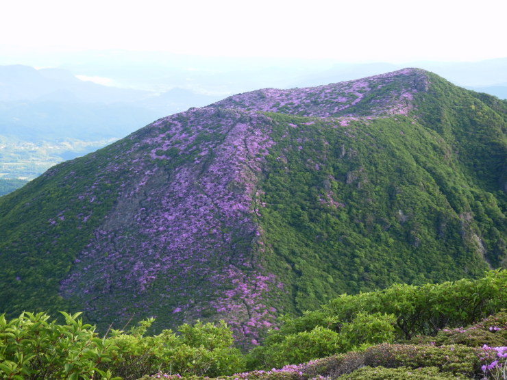 f0219710_11365085.jpg