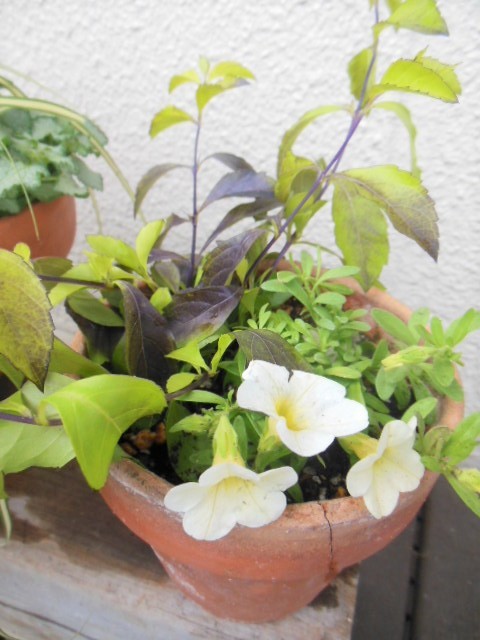 f0208812_11004961.jpg