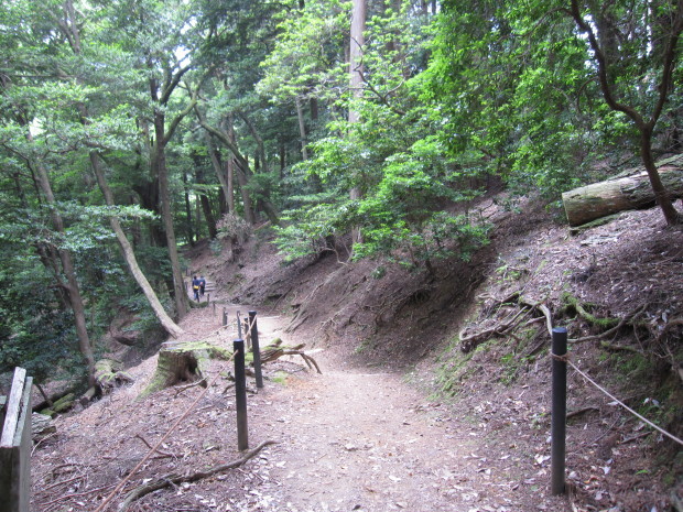 d0103314_16173698.jpg