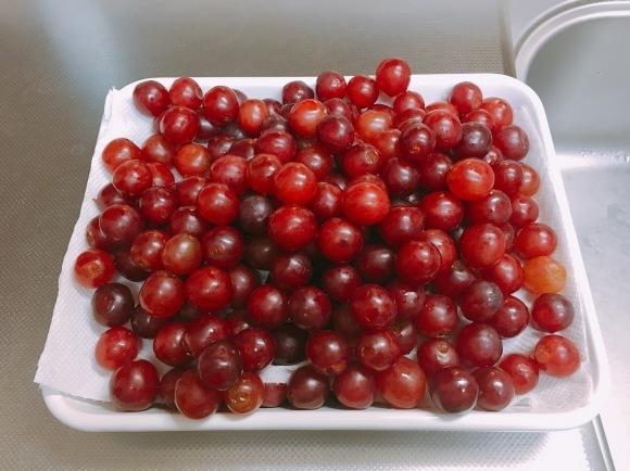 e0361222_10352281.jpeg