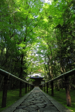 e0133025_21495362.jpg