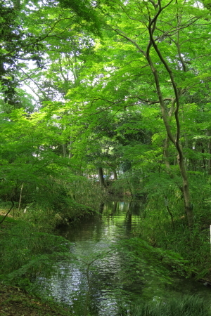 e0133025_21500983.jpg