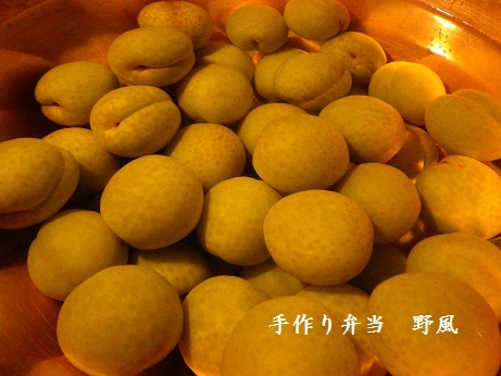 b0244034_20512598.jpg